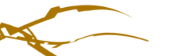 Introductions